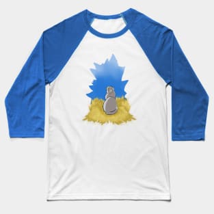 Cat, wheat and blue sky Baseball T-Shirt